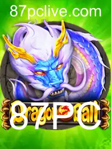 DragonBall: Um Mergulho no Universo dos Guerreiros Z com 87PC